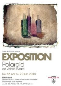 exposition Polaroïd de Valérie Evrard. Du 22 mai au 20 juin 2015 à provins. Seine-et-Marne. 